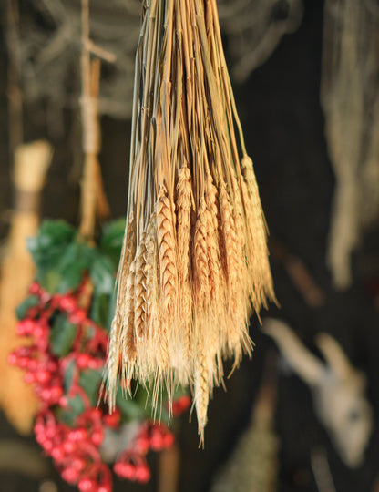 Šopek naravnih pšeničnih ušes 60 cm