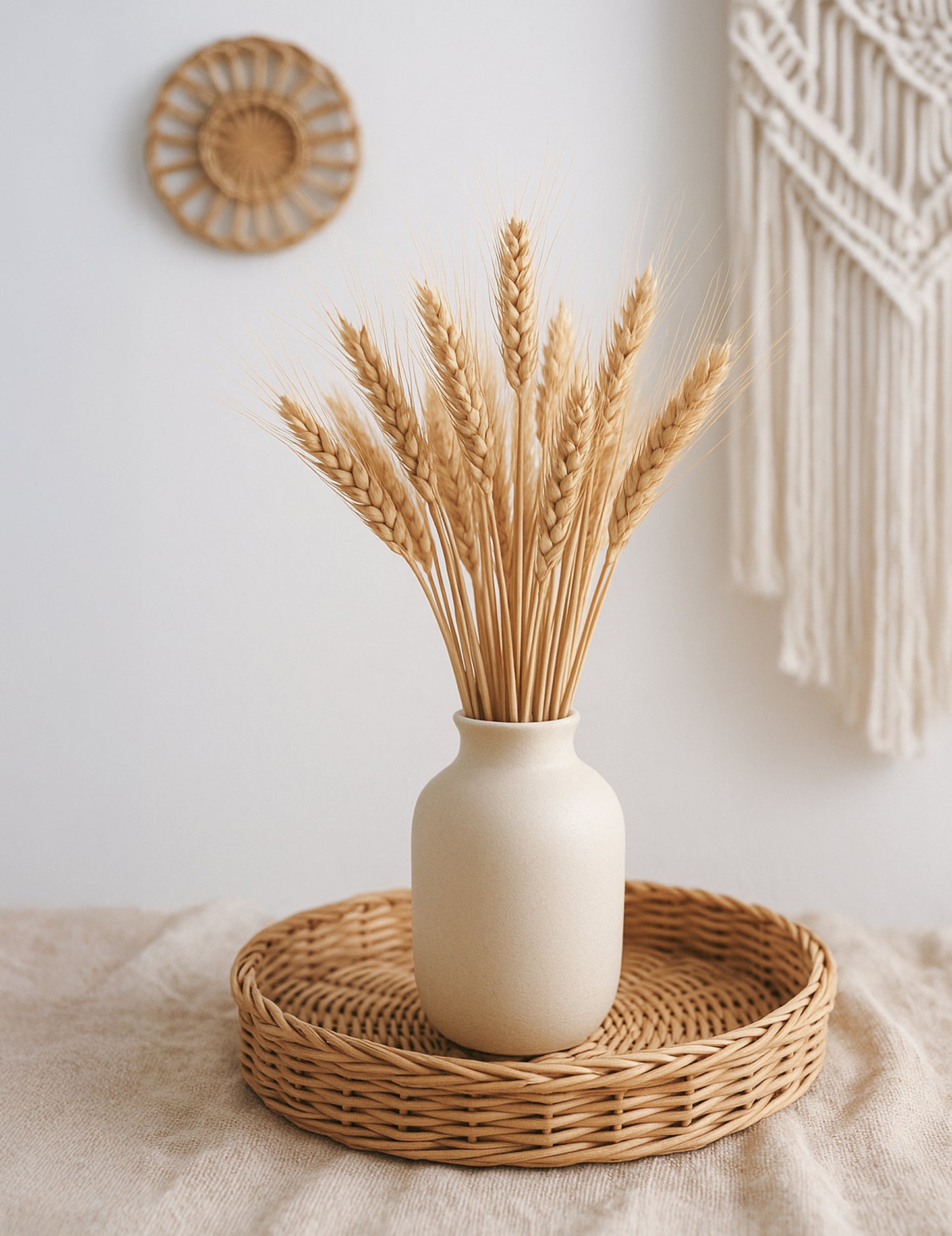 Šopek naravnih pšeničnih ušes 60 cm