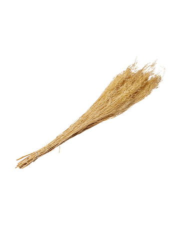 Šopek posušenih vejic 50 g 75 cm boemski slog