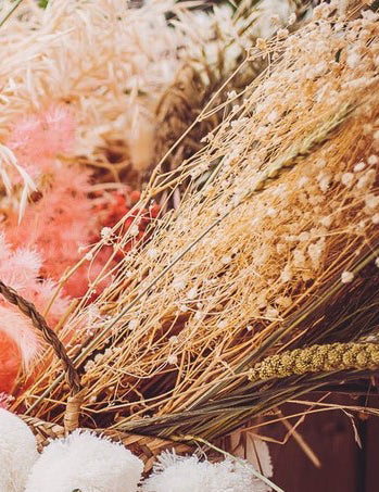 Šopek posušenih belih gipsofil 25g poročna dekoracija