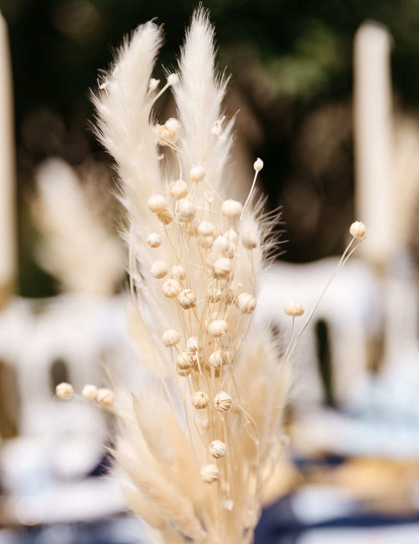 Naravni šopek posušenega lanenega semena 50g 70 cm boemski dekor