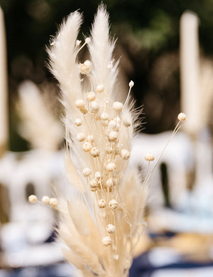 Naravni šopek posušenega lanenega semena 50g 70 cm boemski dekor