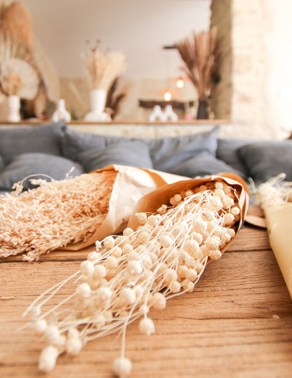 Naravni šopek posušenega lanenega semena 50g 70 cm boemski dekor