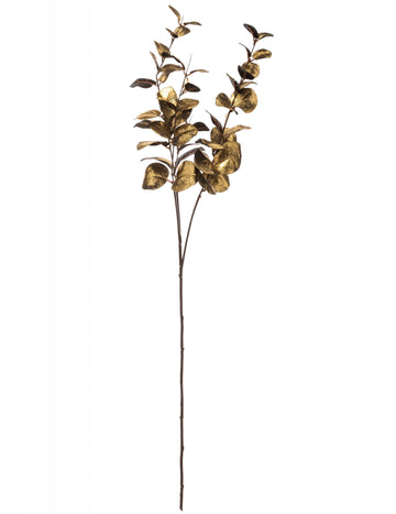 Zlata veja evkaliptusa 76 cm za okras