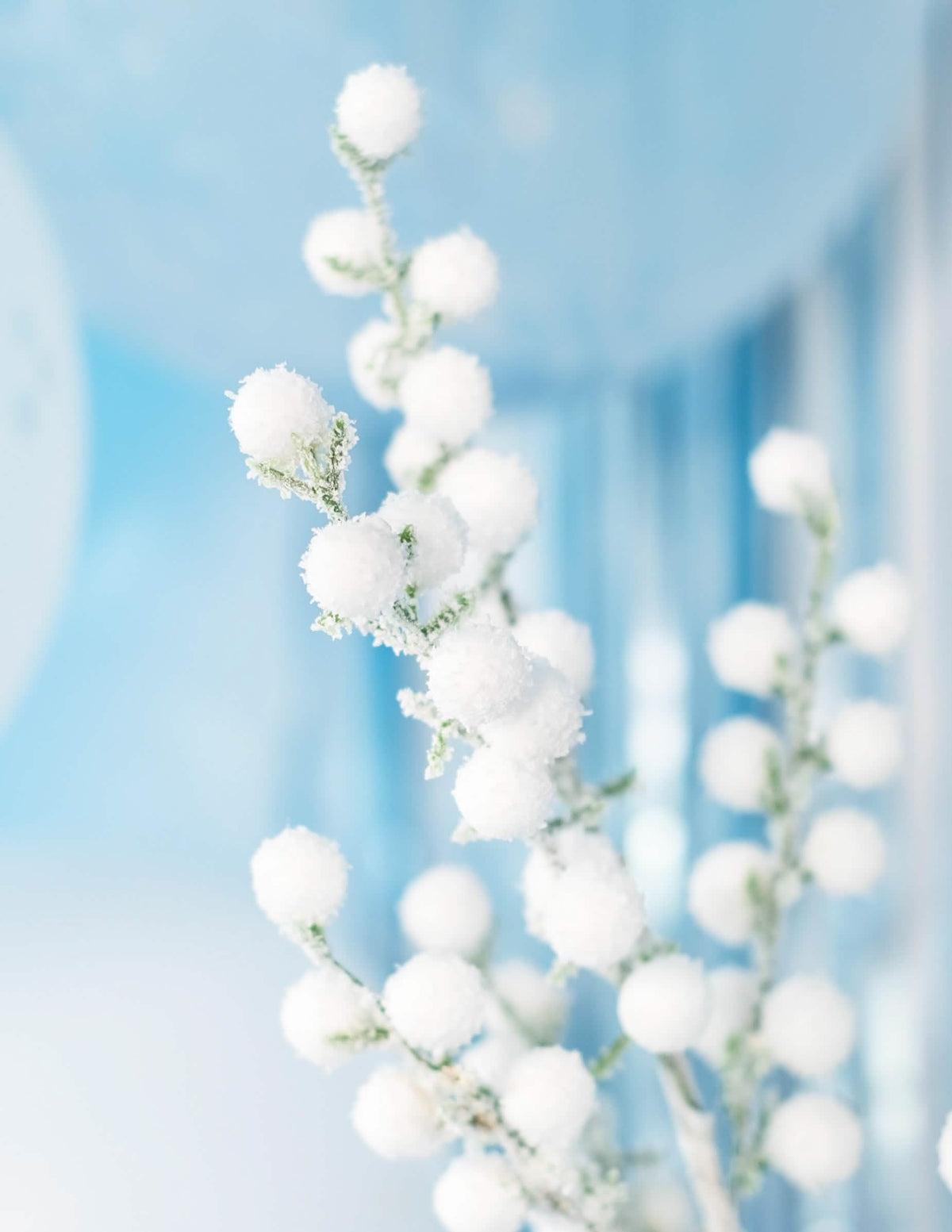 Détail de la texture de la branche boules givrées pour décoration de Noël blanches
