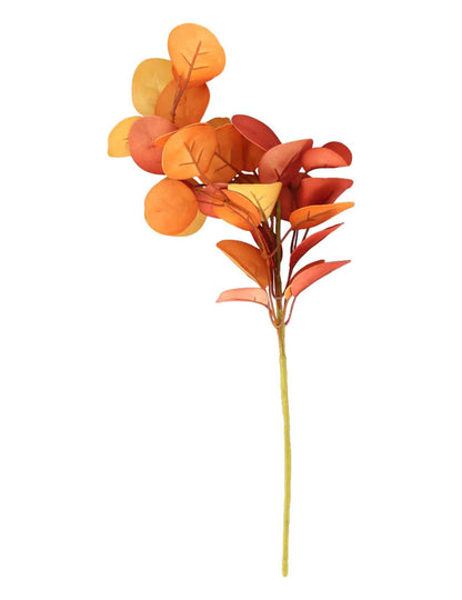 Veja evkaliptusa iz oranžne pene 40 cm