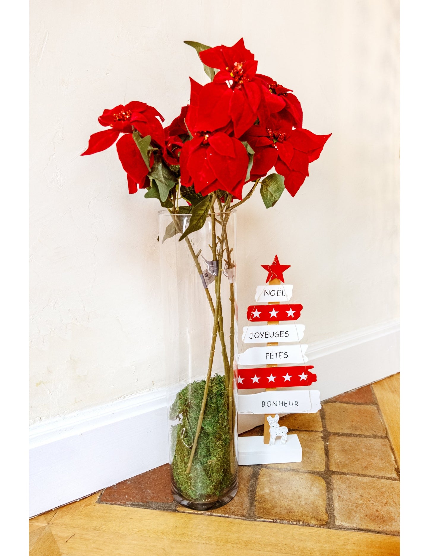 Veja rdeče božične zvezde 75 cm, Božična zvezda