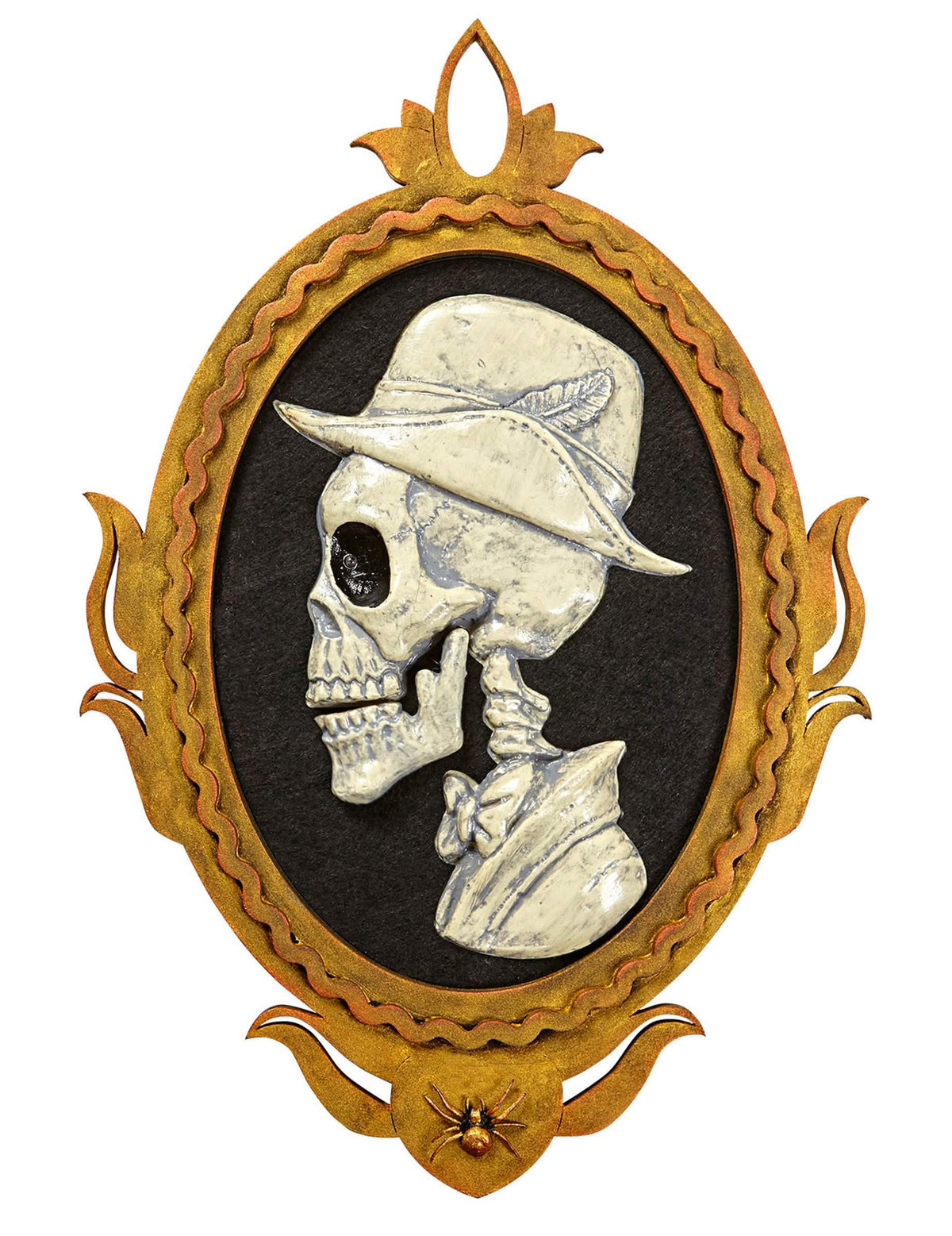 Pogled od spredaj na portretni okvir skeletni gospod