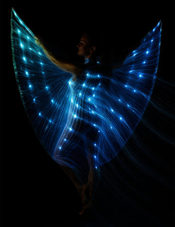 Kapska perunika s stebli in svetlobo 140 cm