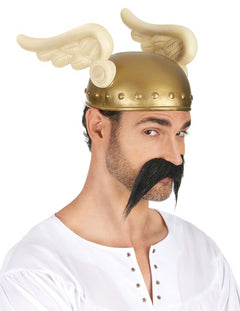 Preobleke Asterix in Obelix