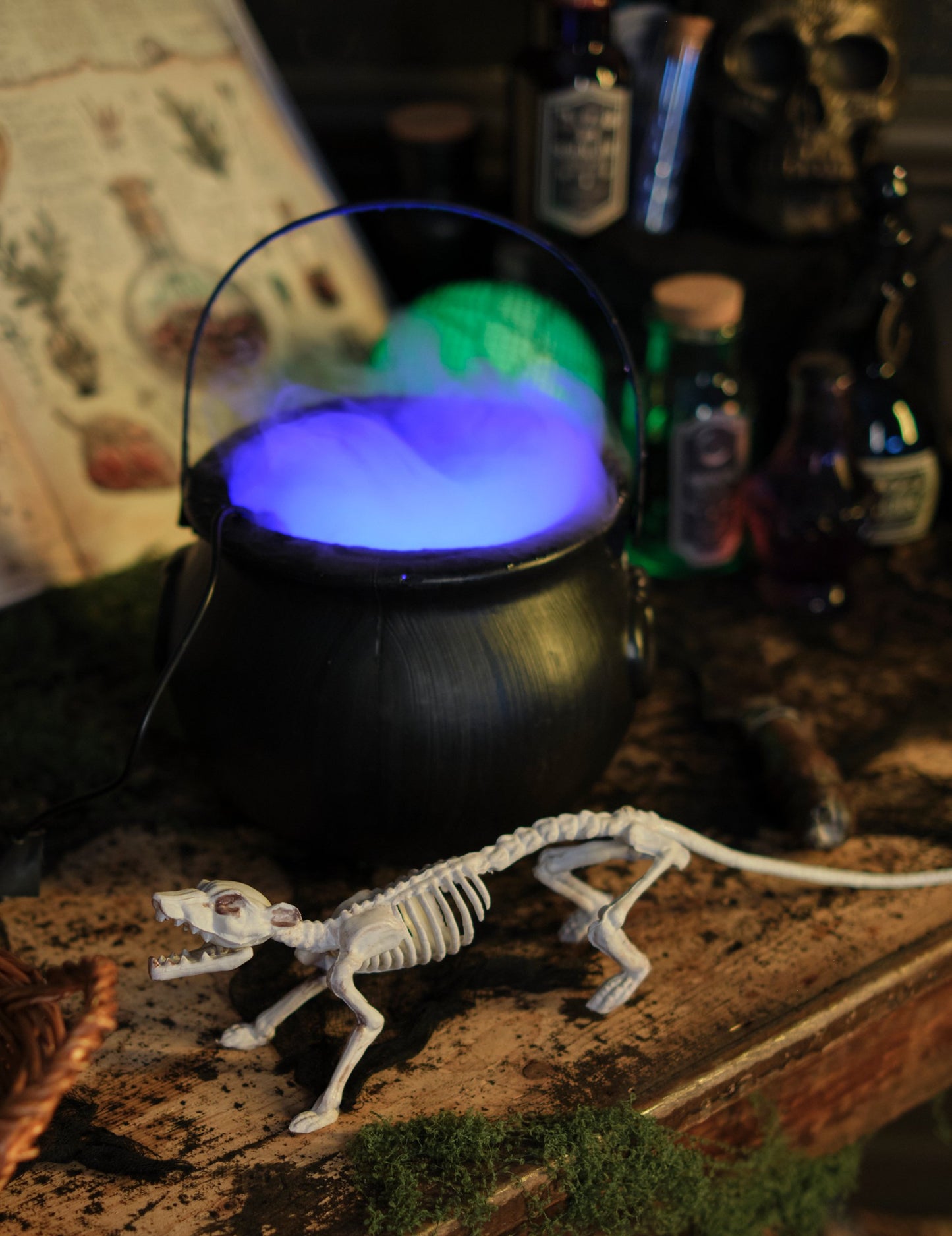 Halloween Witch Coaldron 18 cm