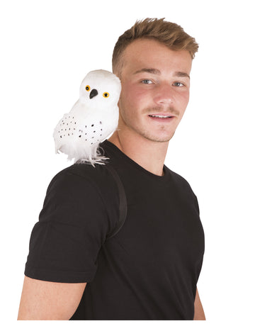 Sorcierjeva bela sova