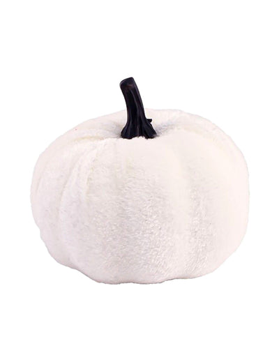 Okrasna buča Summerween z žametnim učinkom v beli barvi 7 x 4 do 7 cm