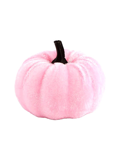 Okrasna buča Summerween z žametnim učinkom v pastelno rožnati barvi 7 x H 4 do 7 cm