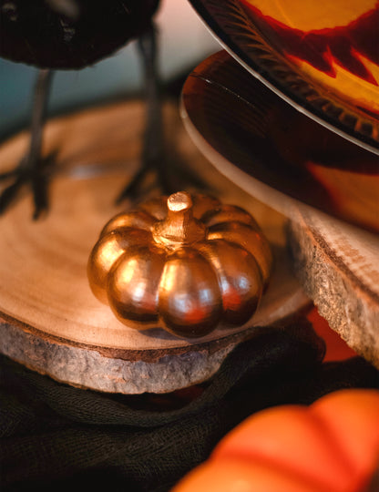 Zlata smola buča 6,5 ​​cm