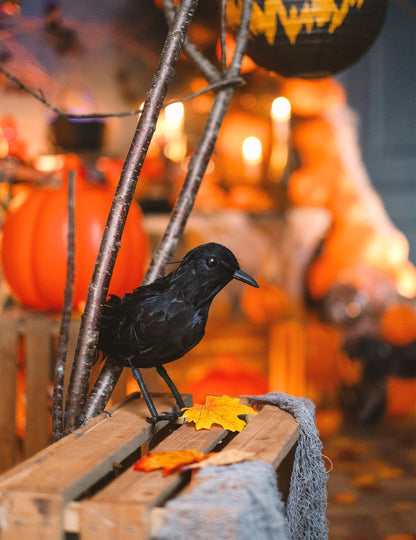 Črno pernato raven 20 cm