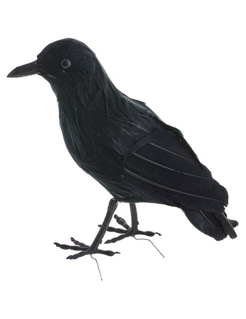 Črno pernato raven 20 cm