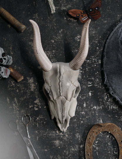 14 x 40 cm lobanja z bivolo