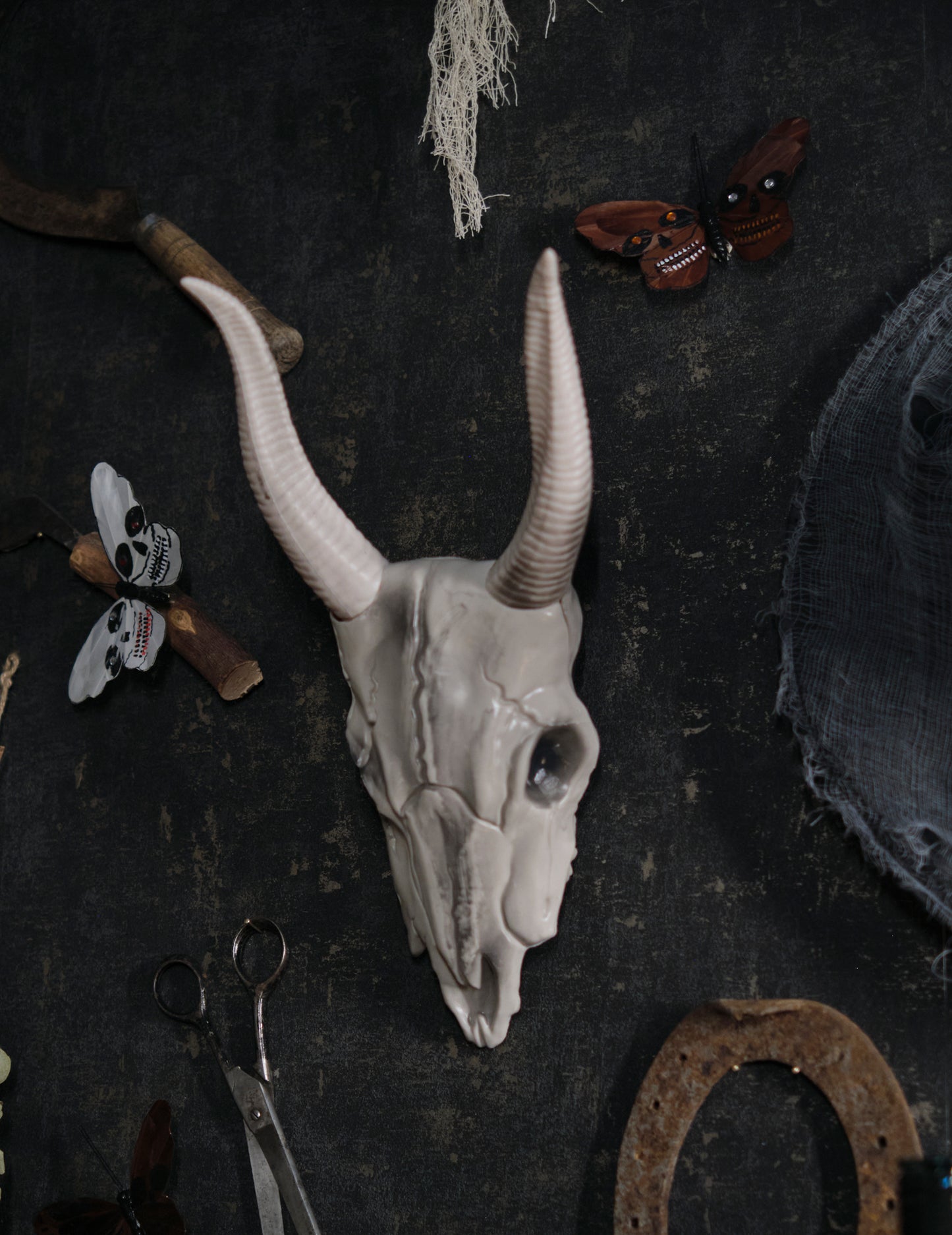 14 x 40 cm lobanja z bivolo