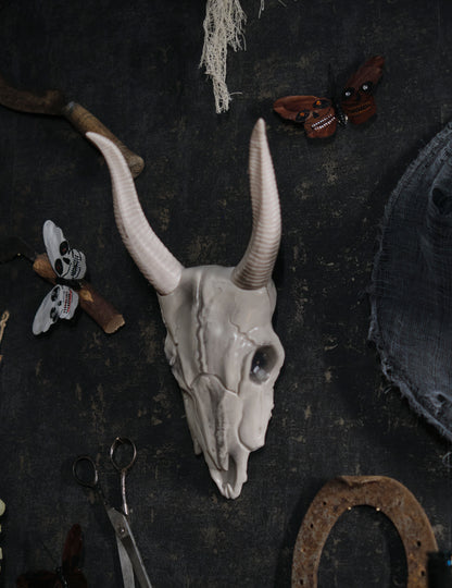 14 x 40 cm lobanja z bivolo