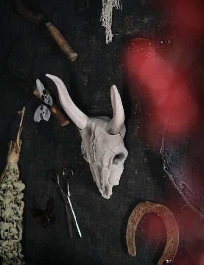 14 x 40 cm lobanja z bivolo