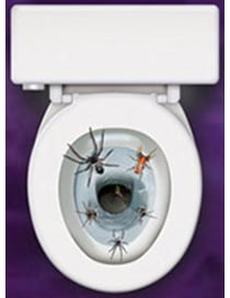 Mise en situation sur les toilettes de la décoration autocollante pour wc Araignées