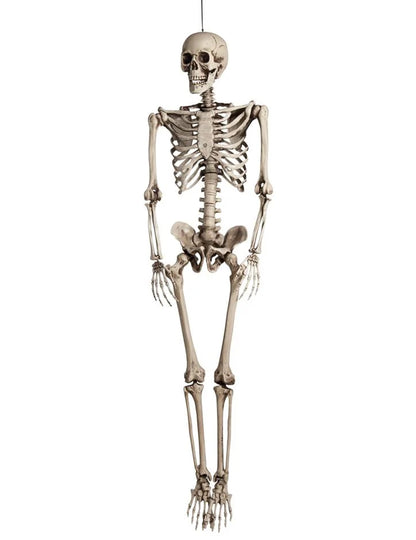 Dekoracija za obešanje človeškega tait okostja 160 cm