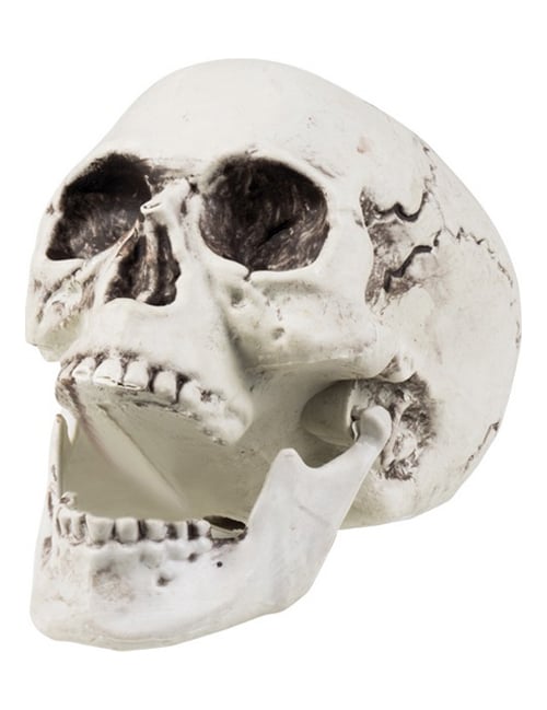 Décoration crâne Halloween pour fête blanc vieilli avec mâchoire ouverte