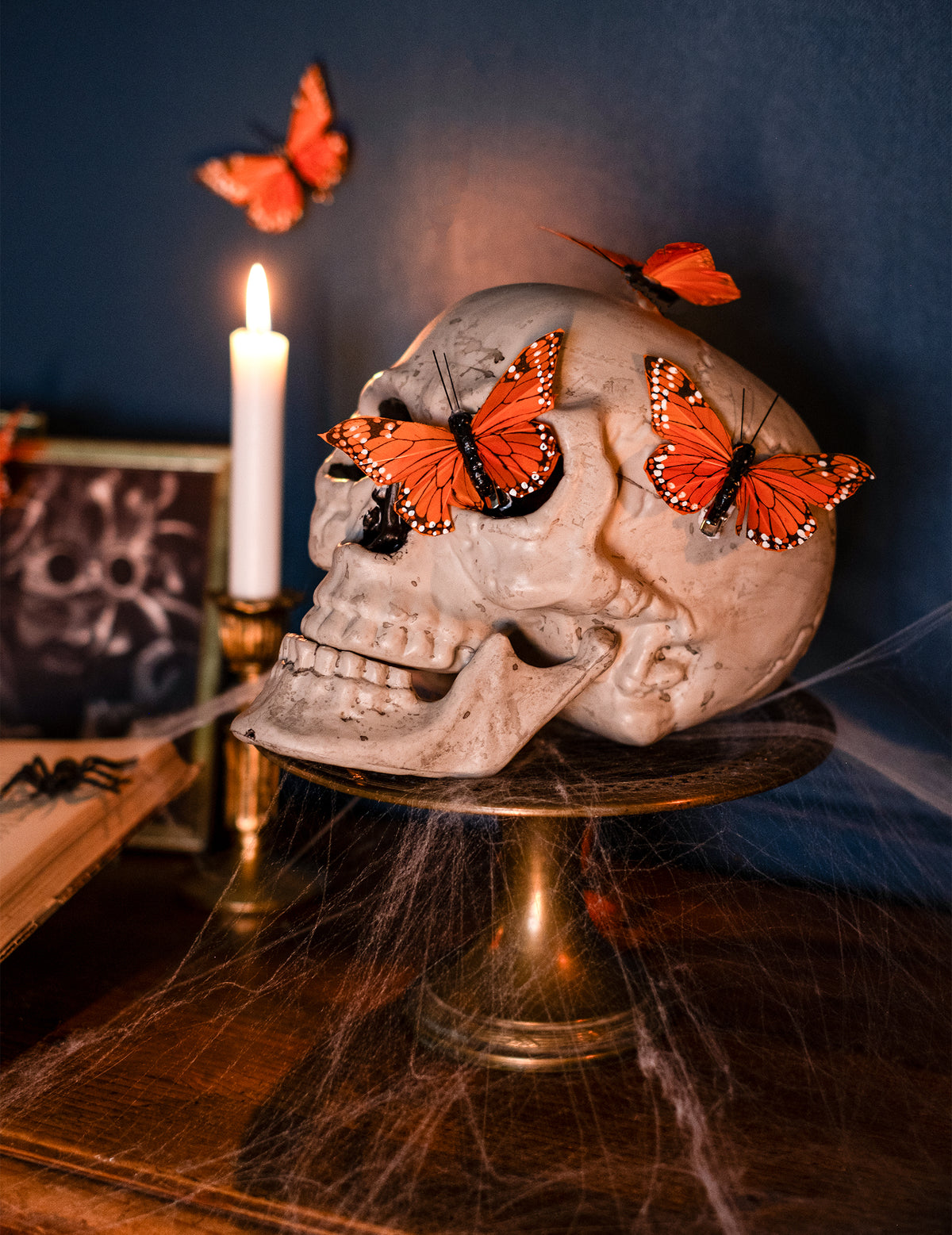 Vue de profil avec papillons de la décoration crâne Halloween