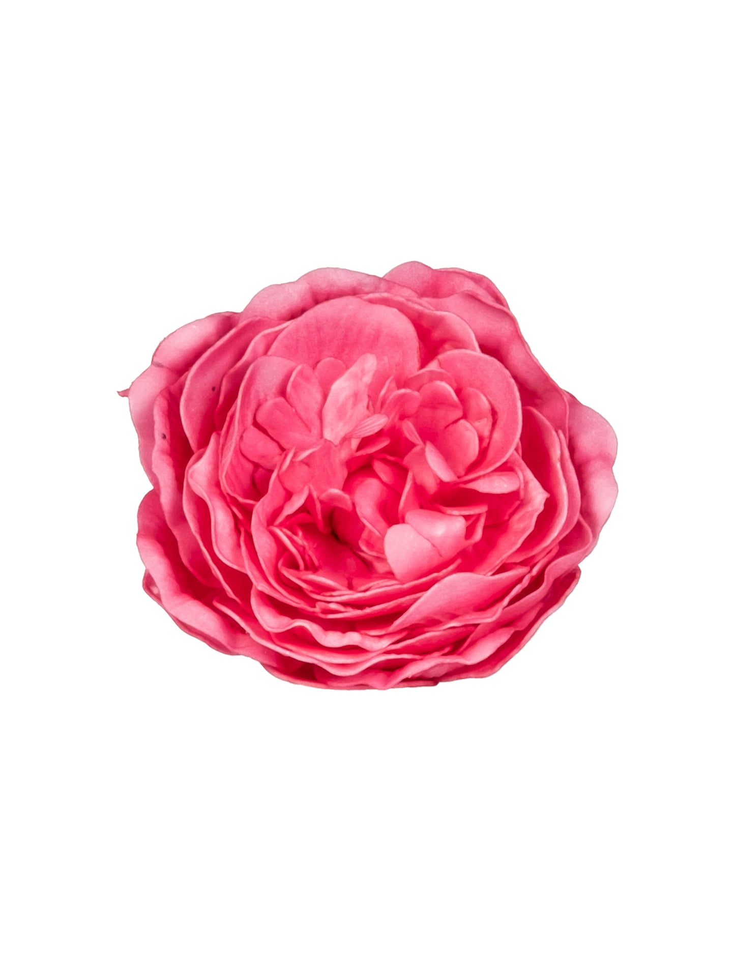 Starinske roza in fuksijaste namizne dekoracije 12 cm letnik