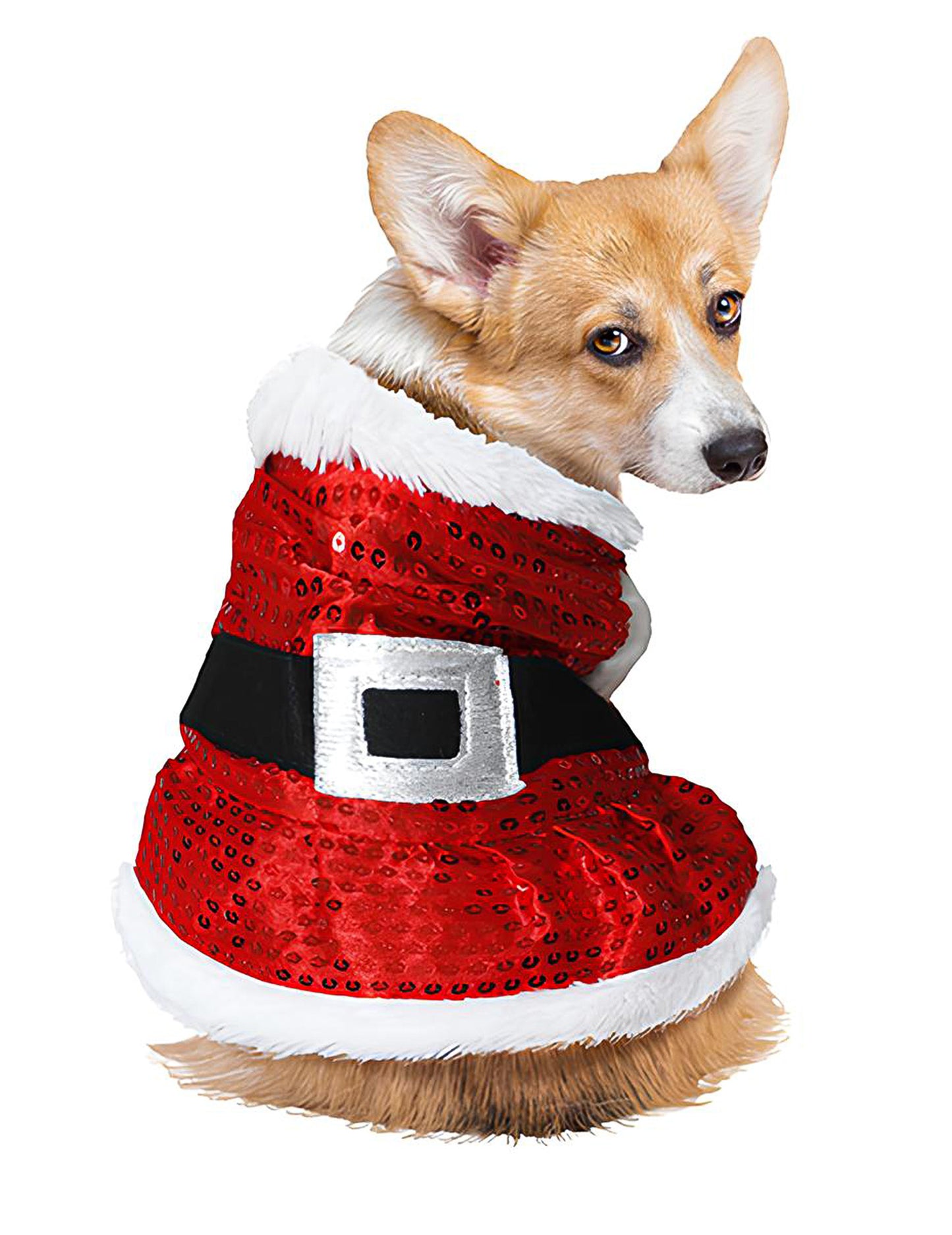 Božični kostum za psa z bleščicami