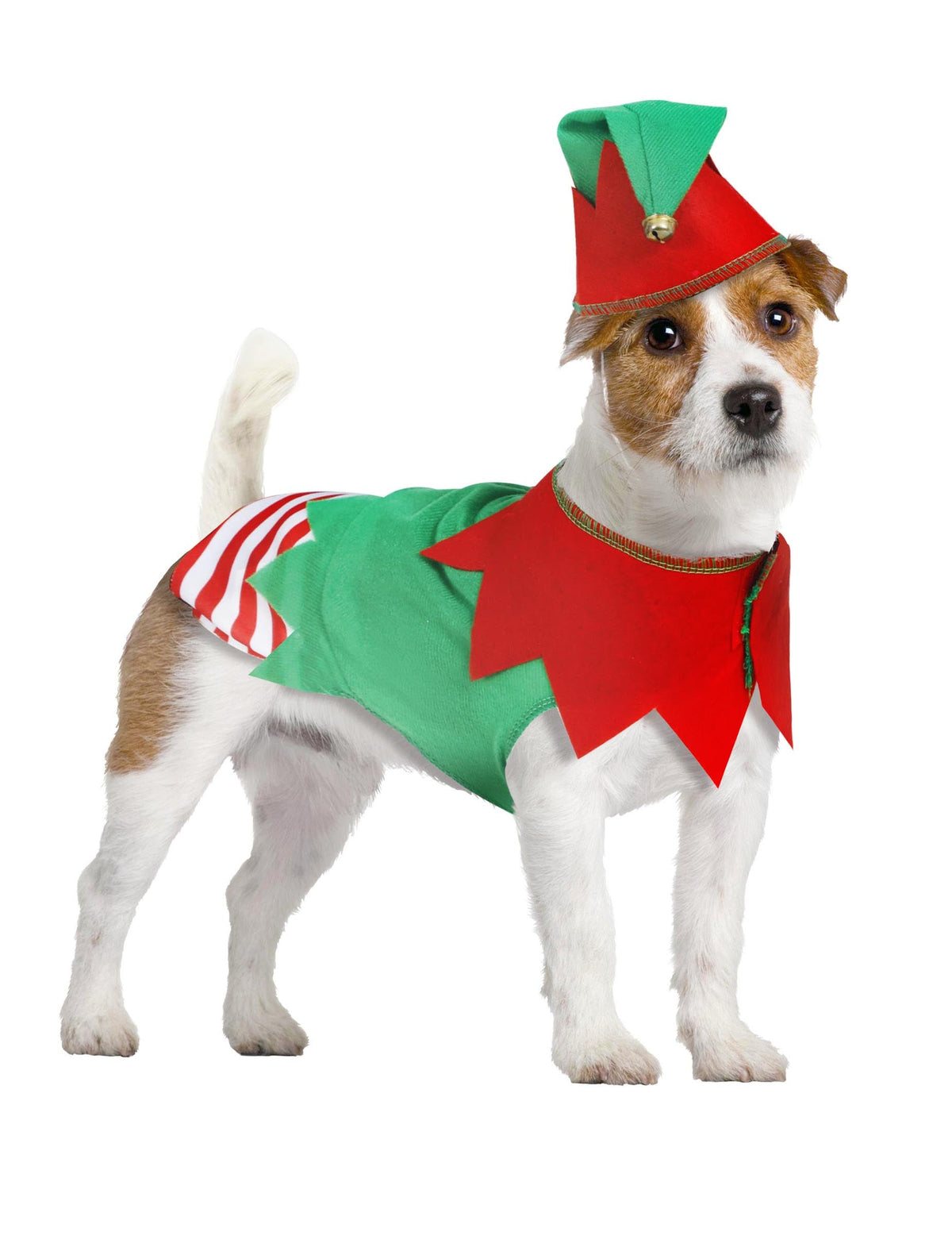 Déguisement elfe de Noël pour chien vert et rouge avec chapeau à grelot