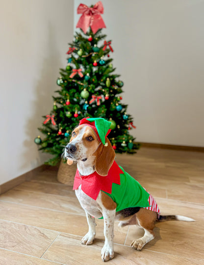 Božični kostum škrata za pse