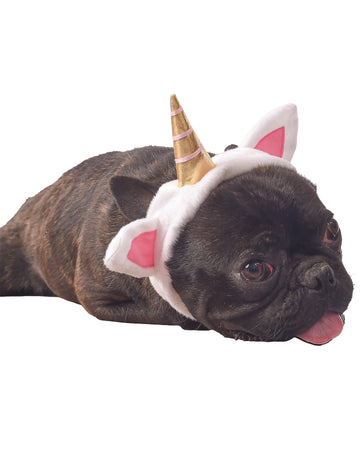 Ura preobleke za pse