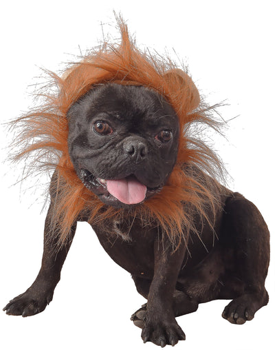 Déguisement lion pour chien marron avec crinière