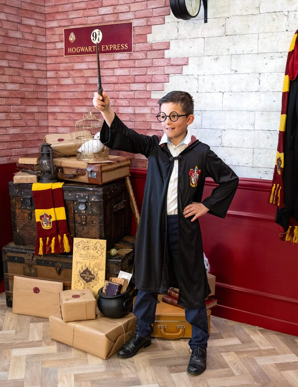 Postavitev v tematsko kuliso luksuzna obleka čarovnika Gryffindor Harry Potter
