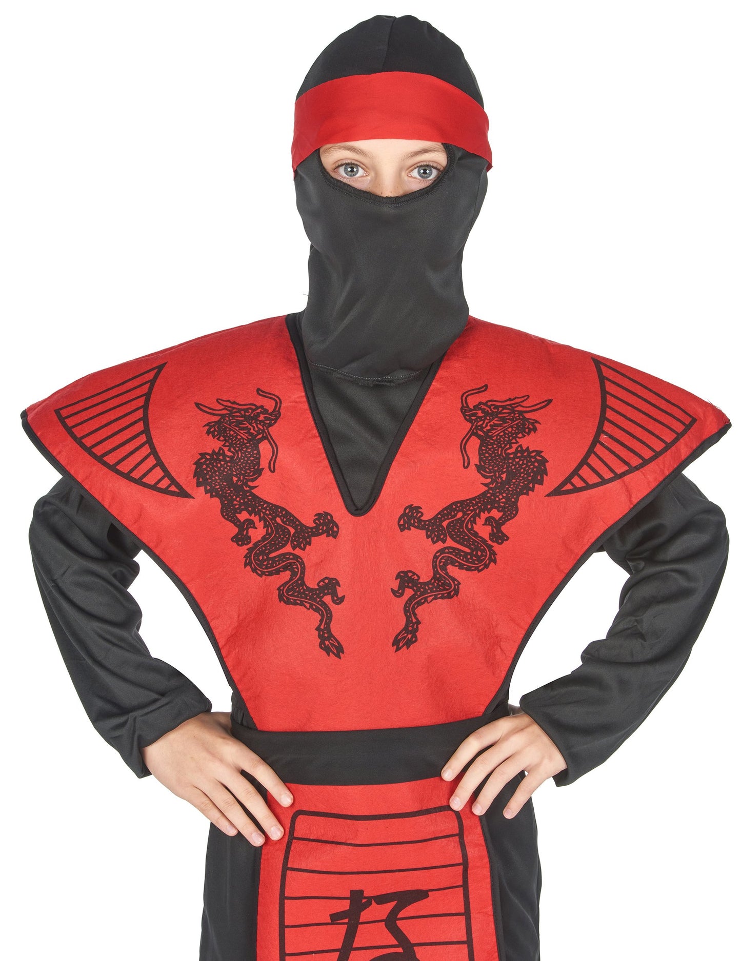 Ninja Dragon Boy Dragon Costume
