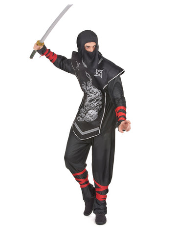 Ninja preoblečena srebrni zmaj