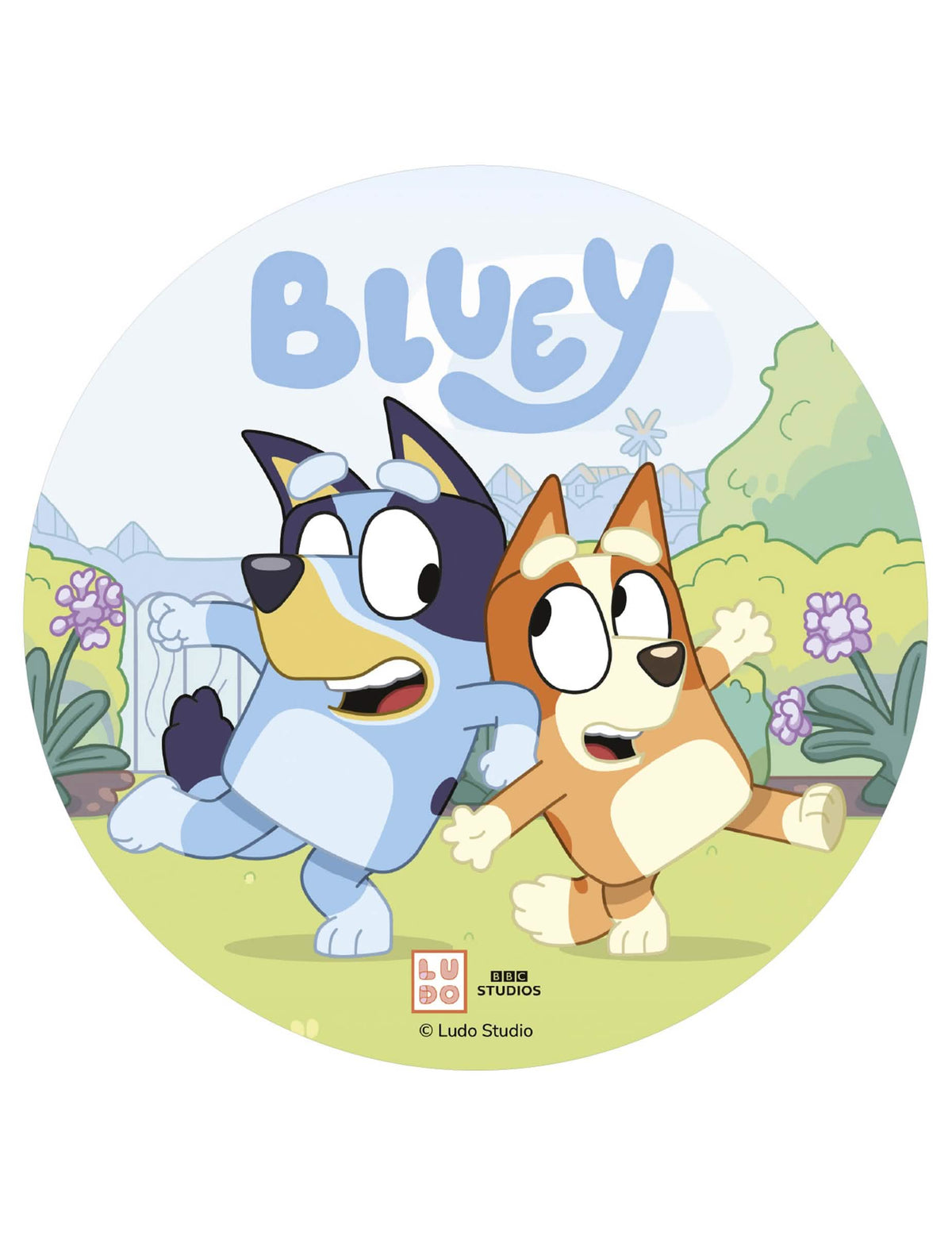 Jedilna pokrivka za torto Bluey™ 20 cm