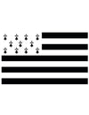 Drapeau supporter Bretagne pour adulte noir et blanc
