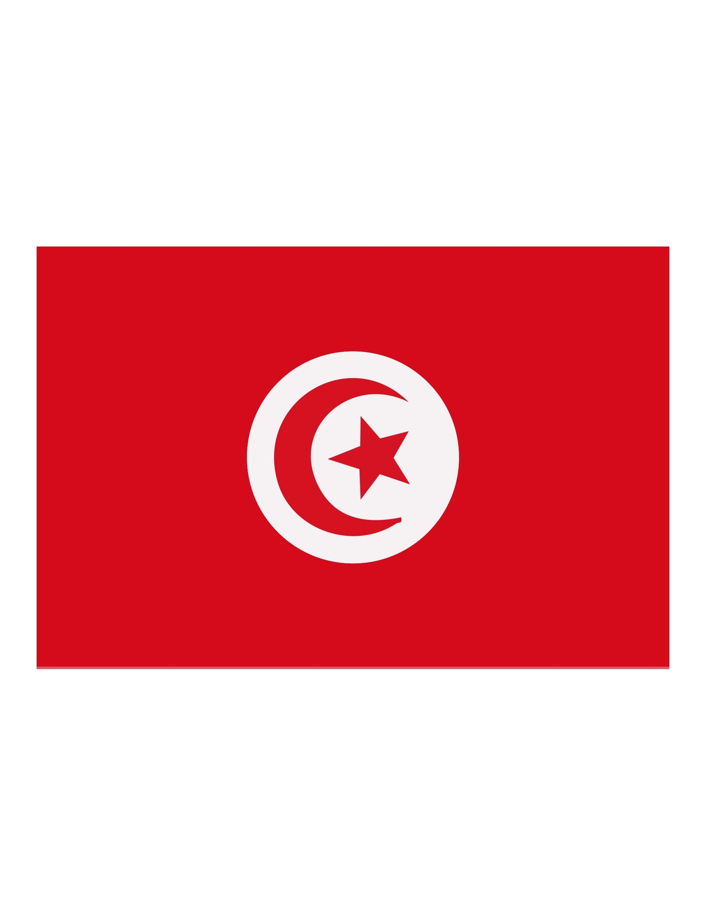 Podporna zastava Türkiye 90 x 150 cm