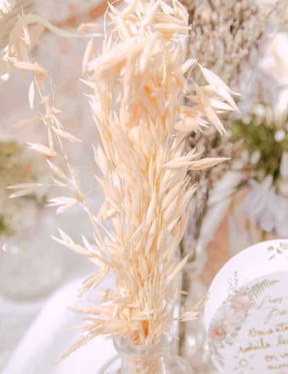 Naravni posušeni ovseni storž 100g 73 cm podeželsko vzdušje