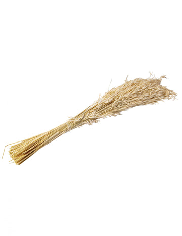 Naravni posušeni ovseni storž 100g 73 cm podeželsko vzdušje