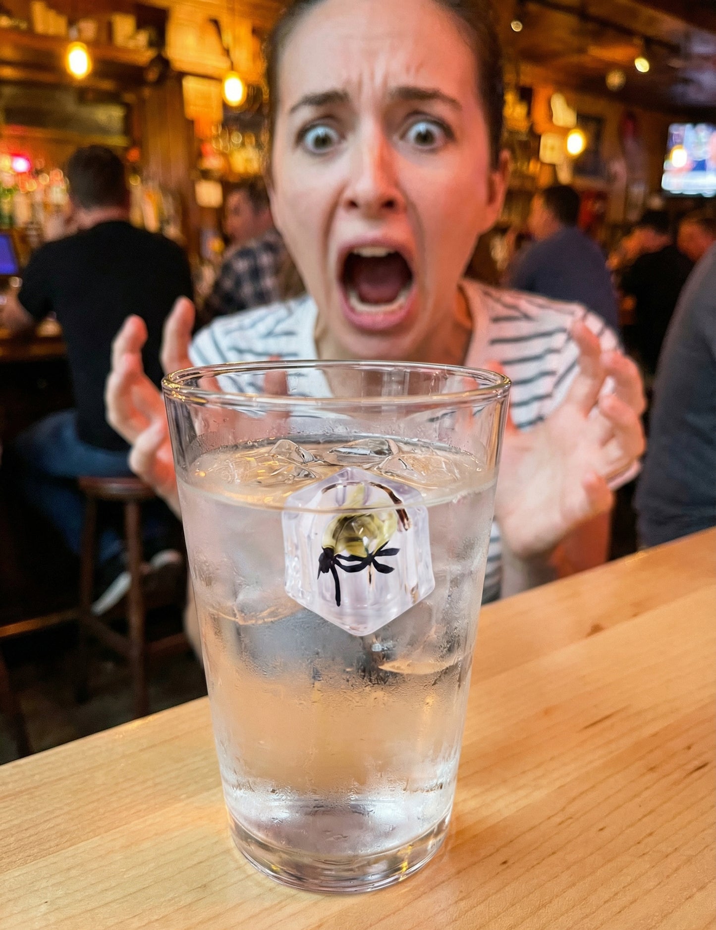 Lažen ledeni kock z muho – potegavščine in šale 