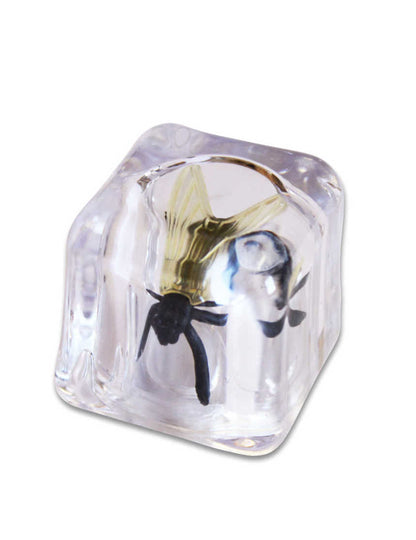 Lažen ledeni kock z muho – potegavščine in šale 