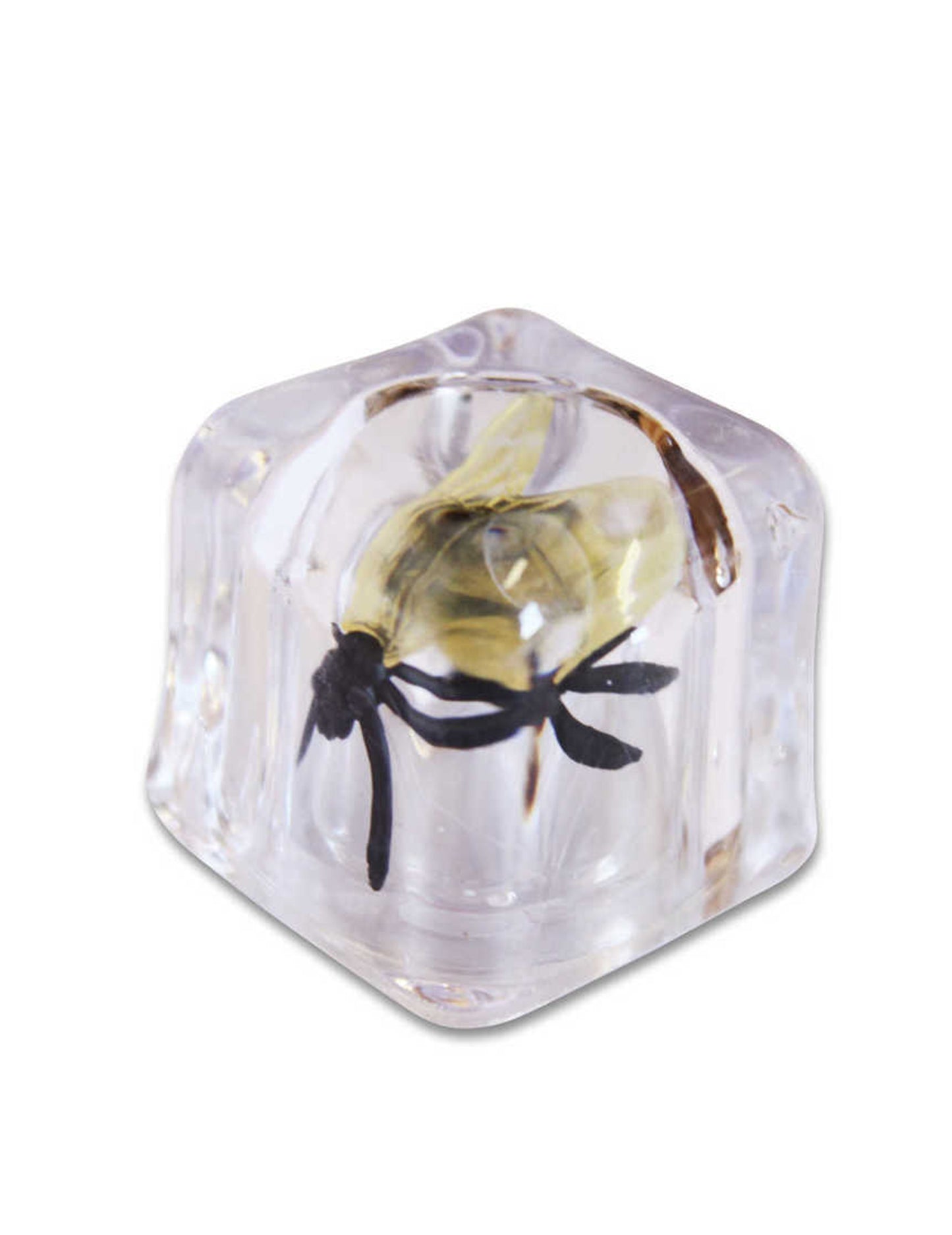 Lažen ledeni kock z muho – potegavščine in šale 