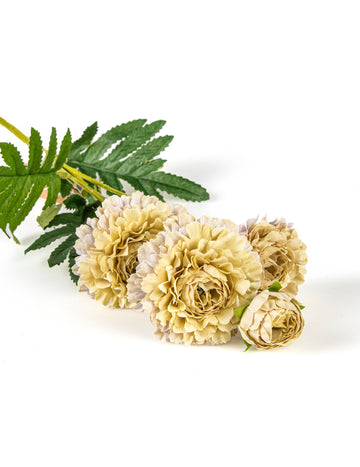 Umetni bež cvetovi cinije na steblu 61 cm za šopek