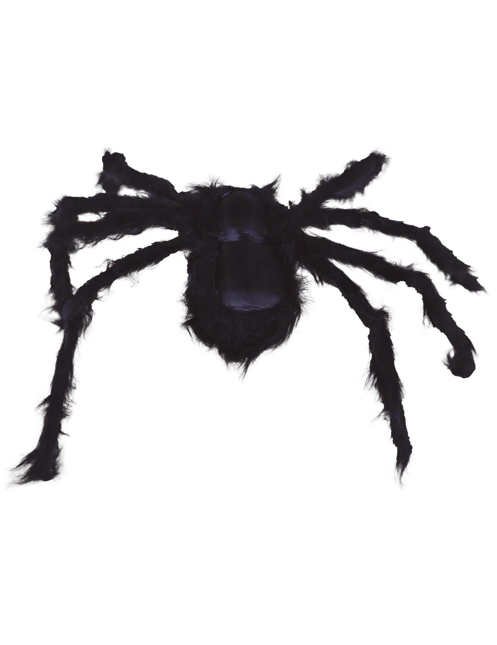 Pogled od zgoraj na veliko halloween pajkovo dekoracijo
