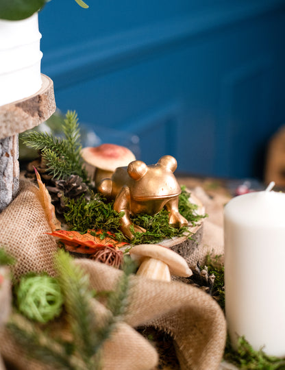 Mise en scène champêtre et naturelle de la grenouille en résine thème grenouille dorée