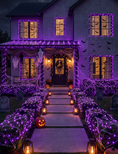 Guirlande lumineuse 50 LED violette 5M